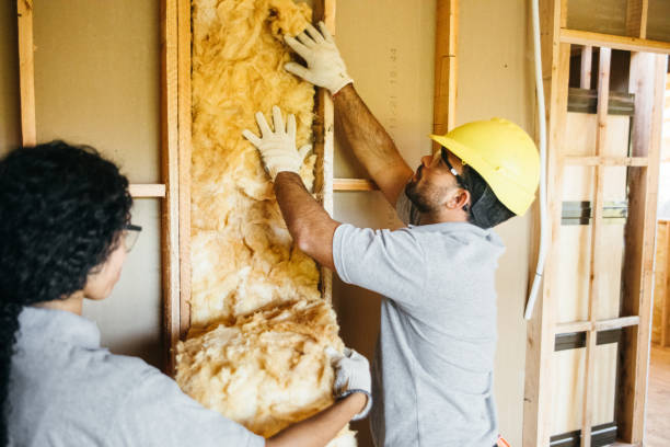 Best Insulation Contractors for Homes  in Piney, AR