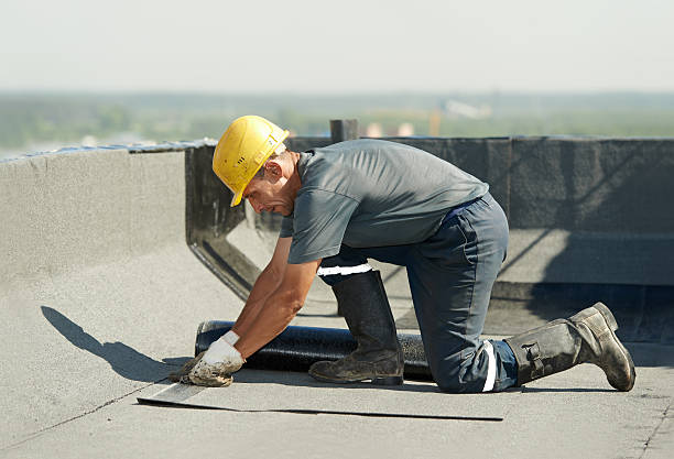 Best Insulation Repair Services  in Piney, AR